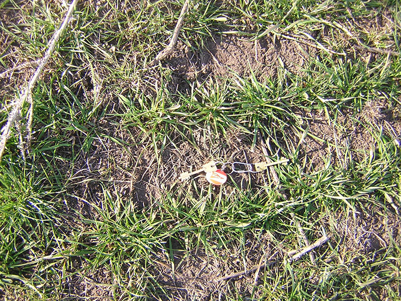 Azul - San Jose de Pedro Zubiri e hijos
Fertilizacion : Fosfoactiv 