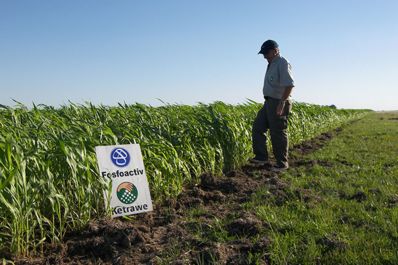 SORGO en Don Pancho