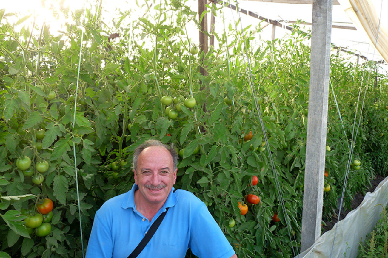 Quinta - Divitto- 2012