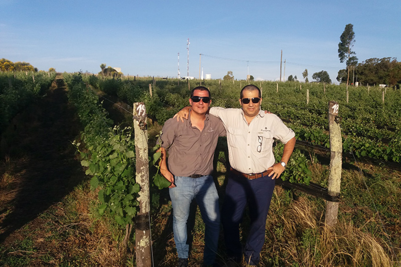 Cordon Blanco - Tandil